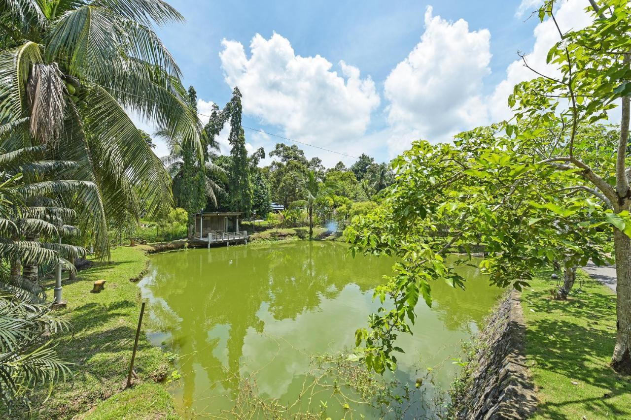 Oyo 90636 Teratak Zakiah Chalet Jerantut Exteriér fotografie